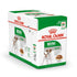 Royal Canin - Size Health Nutrition Mini Adult Gravy 1 Box