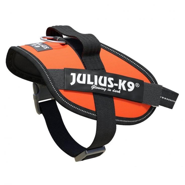 Julius K9 - IDC® High Visibility Powerharness UV Orange - PetHaus General Trading LLC