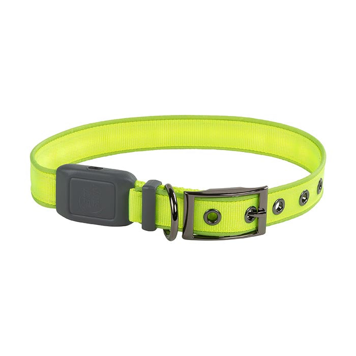 Nite Ize - Nite Dog Recharge LED Dog Collar (Lime) - PetHaus General Trading LLC
