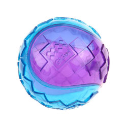 GiGwi G-Ball Purple/Blue Squeaker Transparent - PetHaus General Trading LLC