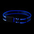 Nite Ize - Nite Dog Recharge LED Dog Collar (Blue) - PetHaus General Trading LLC
