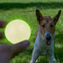 SKIPDAWG - Neon Glow Dog Ball (Medium) - PetHaus General Trading LLC