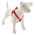 Lupine Pet - Medium Dog Basics Step In Harness (3/4'') - PetHaus General Trading LLC
