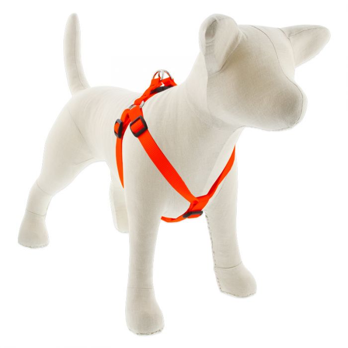 Lupine Pet - Small Dog Basics Step In Harness (1/2″) - PetHaus General Trading LLC