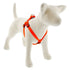 Lupine Pet - Medium Dog Basics Step In Harness (3/4'') - PetHaus General Trading LLC