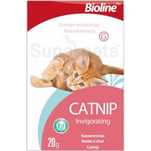 Bioline - Catnip (20gr) - PetHaus General Trading LLC