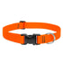Lupine Pet - BASICS Adjustable Collar 3/4″ Medium Dog - PetHaus General Trading LLC