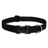 Lupine Pet - BASICS Adjustable Collar 1/2″ Small Dog - PetHaus General Trading LLC