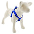 Lupine Pet - Large Dog Basics Step In Harness 1"
