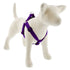 Lupine Pet - Large Dog Basics Step In Harness 1"