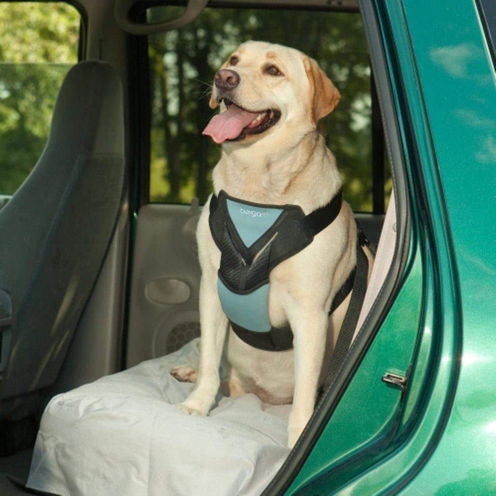 Bergan - Dog Auto Harness W/ Tether -X-Large - PetHaus General Trading LLC