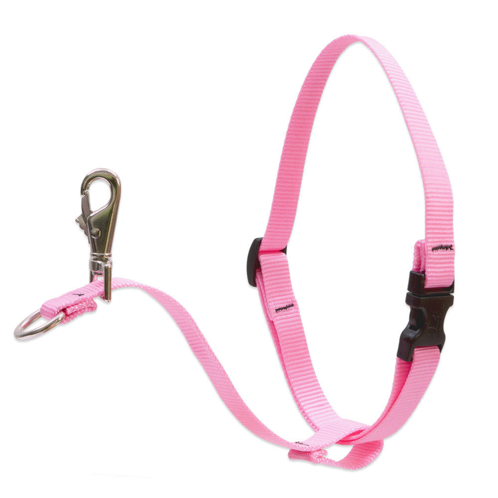 Lupine Pet - Dog Basic Solids No Pull Harness