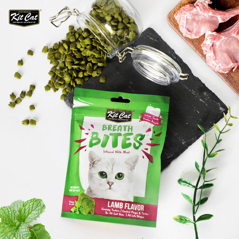 Kit Cat - Breath Bites Lamb Flavor (60g) - PetHaus General Trading LLC