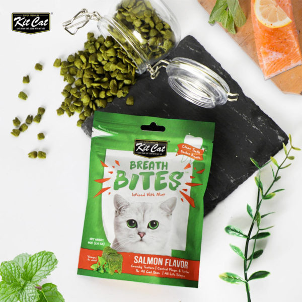 Kit Cat - Breath Bites Salmon Flavor (60g) - PetHaus General Trading LLC