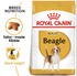 Royal Canin - Breed Health Nutrition Beagle Adult (3kg) - PetHaus General Trading LLC