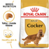 Royal Canin - Breed Health Nutrition Cocker Adult (3kg) - PetHaus General Trading LLC