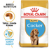 Royal Canin - Breed Health Nutrition Cocker Puppy (3kg) - PetHaus General Trading LLC