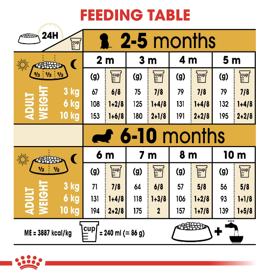 Royal Canin - Breed Health Nutrition Dachshund Puppy (1.5kg) - PetHaus General Trading LLC