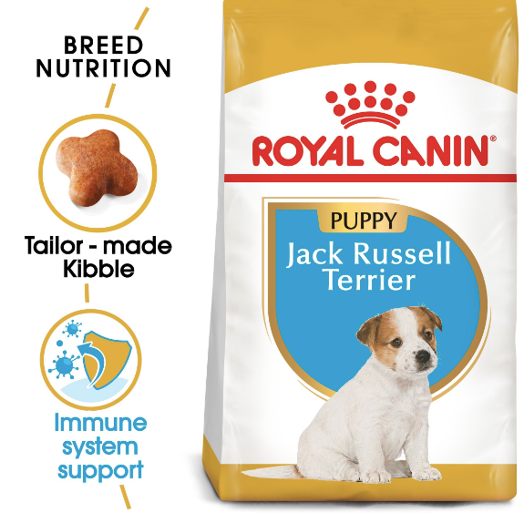 Royal Canin - Breed Health Nutrition Jack Russell Puppy (1.5kg) - PetHaus General Trading LLC