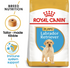Royal Canin - Breed Health Nutrition Labrador Puppy - PetHaus General Trading LLC