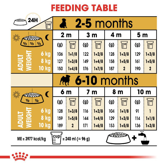 Royal Canin - Breed Health Nutrition Pug Puppy (1.5kg) - PetHaus General Trading LLC
