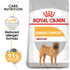 Royal Canin - Canine Care Nutrition Medium Dermacomfort - PetHaus General Trading LLC