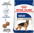 Royal Canin - Size Health Nutrition Maxi Adult - PetHaus General Trading LLC