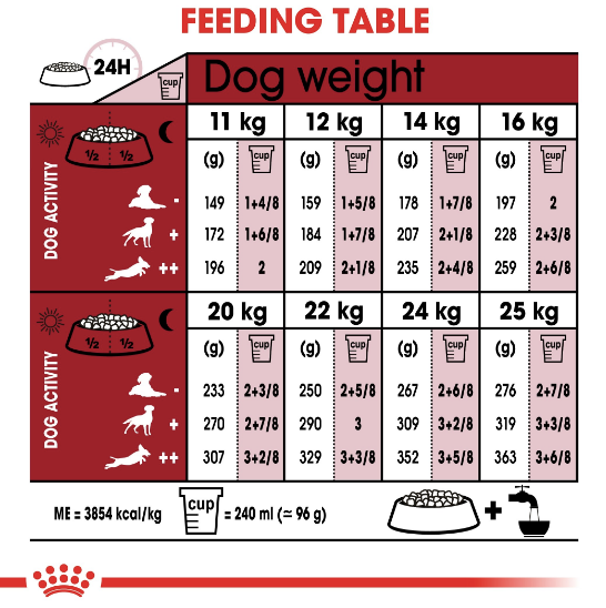 Royal Canin - Size Health Nutrition Medium Adult 7+ - PetHaus General Trading LLC