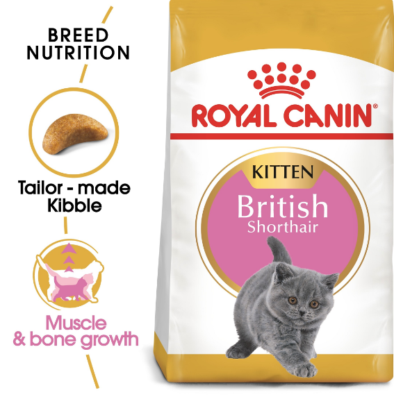 Royal Canin - Feline Breed British Shorthair Kitten (2kg) - PetHaus General Trading LLC