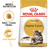 Royal Canin - Feline Breed Nutrition Maine Coon Adult (2kg) - PetHaus General Trading LLC