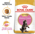 Royal Canin - Feline Breed Nutrition Maine Coon Kitten ( 2kg) - PetHaus General Trading LLC