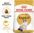 Royal Canin - Feline Breed Nutrition Ragdoll Adult (2kg) - PetHaus General Trading LLC
