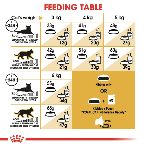 Royal Canin - Feline Breed Nutrition Siamese Adult (2kg) - PetHaus General Trading LLC