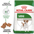 Royal Canin - Size Health Nutrition Mini Adult - PetHaus General Trading LLC
