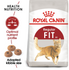 Royal Canin - Feline Health Nutrition Fit 32 - PetHaus General Trading LLC