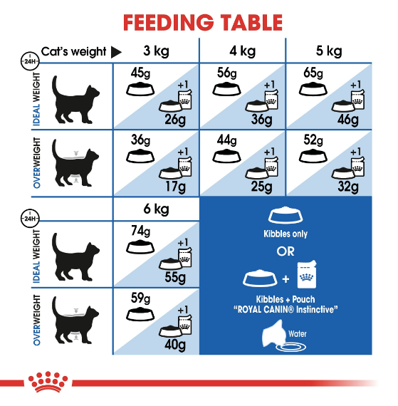 Royal Canin - Feline Health Nutrition Indoor - PetHaus General Trading LLC