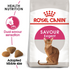 Royal Canin - Feline Health Nutrition Savour Exigent - PetHaus General Trading LLC