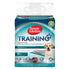 Simple Solution - Dog and Puppy Training Pads (56 Pads) - PetHaus General Trading LLC