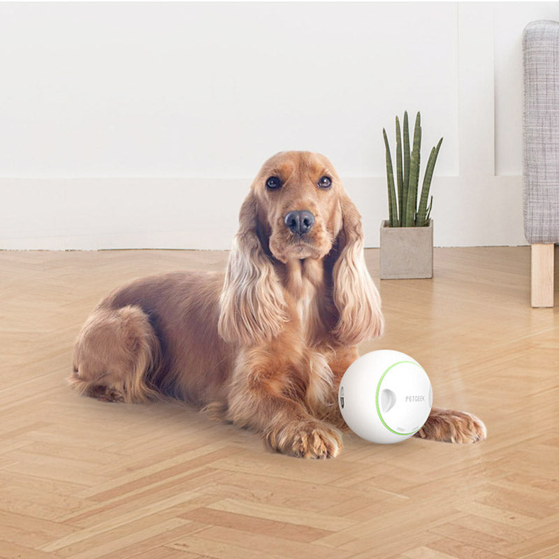 PetGeek - Foodie Orb Automatic Rolling Treat Ball