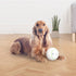 PetGeek - Foodie Orb Automatic Rolling Treat Ball