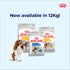 Royal Canin - Canine Care Nutrition Medium Dermacomfort