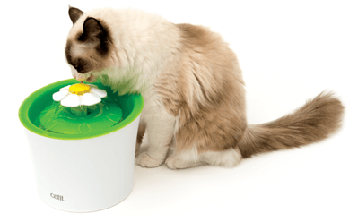 Cat It - Senses 2.0 Flower Fountain - PetHaus General Trading LLC