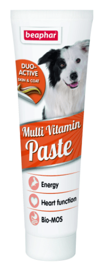 Beaphar - Duo Active Paste Multivitamin Dog (100g) - PetHaus General Trading LLC